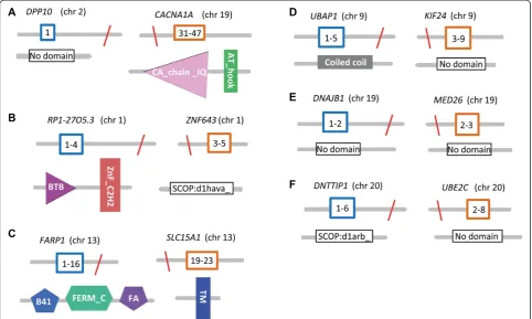 Table 2 Summary of the number of various functional classes of SVs across multiple structural classes of SVs