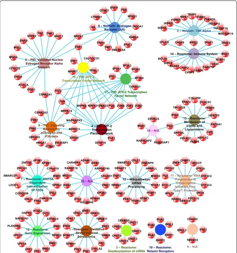 Fig. 1 GWI Affected Modules. Network illustrating modules (colored spheres) identified as differentially expressed in GWI and their correspondinggene (red spheres) associations
