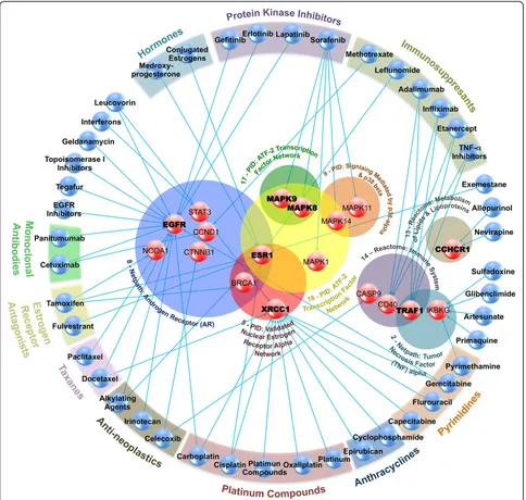 Fig. 2 GWI Affected Drug Targetable Genes. Network illustrating PharmGKB database (8.1.2015) [19] documented gene-drug (red-blue spheres) associationsFig