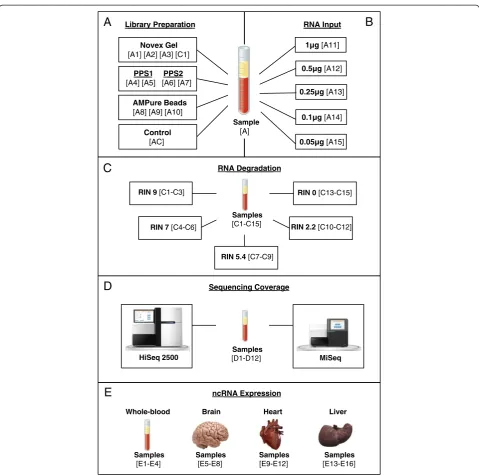 Fig. 1 Illustration of study design and samples. Human biological samples (5.4, 2.2 and 0