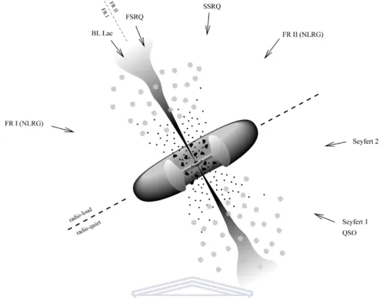 Figure 1.3: The unified model of AGN which explains the types of AGN by different observation angles