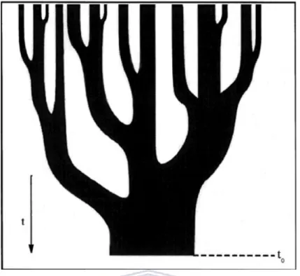 Figure 1.2: The hierarchical structure formation as small dark matter particles (branches) merge to form larger dark matter particles at time t 0 (Lacey and Cole [1993]).