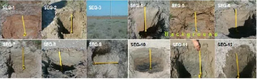Fig. 5: Pattern of soil profile in sampling locations