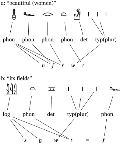 Figure 8:Annotations of feminine plural words