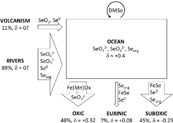 Figure 4: Proposed selenium mass balance for the modern ocean.  The schematic was inspired by the molybdenum cycle presented by Anbar (2004)