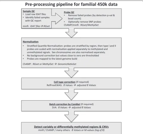 Fig. 5 Pipeline for familial data processed on the 450k array. Each box indicates a stage of the pipeline including the R package and the dataformat required/created in italics