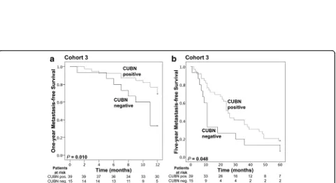 Fig. 3 Kaplan-Meier survival analysis of ccRCC patients, stratified according to CUBN expression