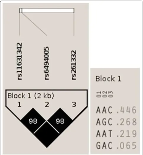 Figure 1 LD plot of block 1. The LD plot represents the pair-wise D’ and haplotype frequency.