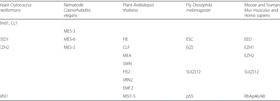Table 1 PRC2 core proteins in model organisms [4, 8]