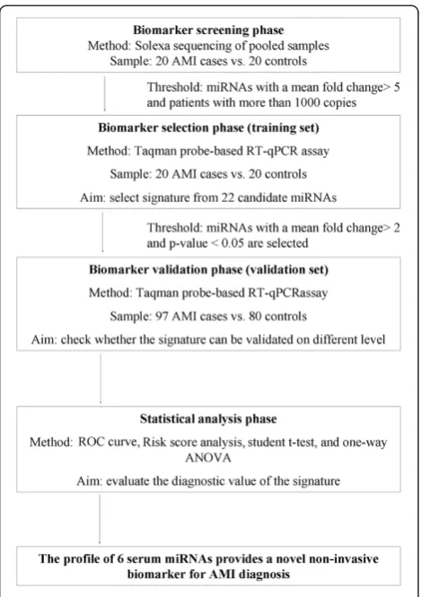 Figure 1 Flow chart of the experimental design.