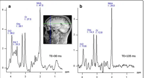 Fig. 3 MRSI data acquired from a 3-year-old girl with an idiopathic developmental delay