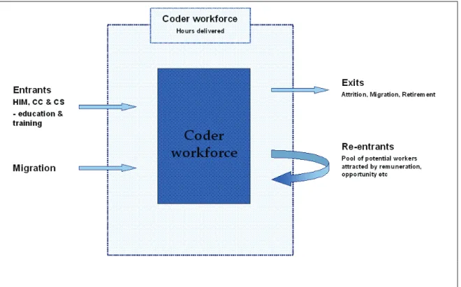 Figure 1: Coding workforce: stock and flow model 