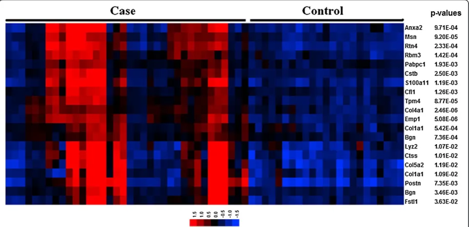Figure 3 Gene expression patterns of top candidate community. Expression values are color-coded: from low (blue) to high (red), and levelsof differential expression are shown as adjusted P values.