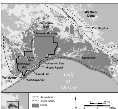 Fig. 1. Barataria Bay, Louisiana (USA), and study area. Habitat polygon defined by salinity models of Hornsby et al