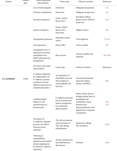 Table 1. Representative abnormalities of E-cadherin. Based on [4] [65] [69]. 