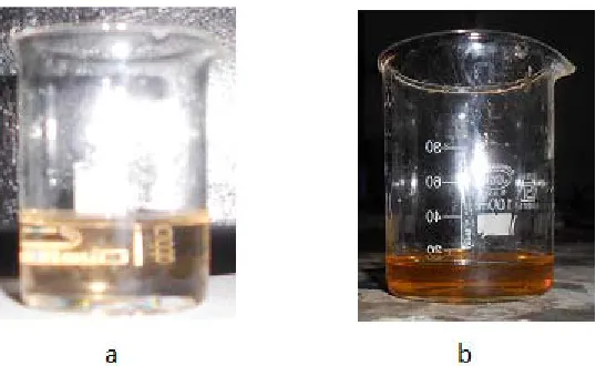 Fig. 3(a): UV-visible absorption spectra of PMMA/Ag nanocomposite thin films for differentconcentrations of Ag nanoparticles (b) Time dependent UV-visible absorption spectra
