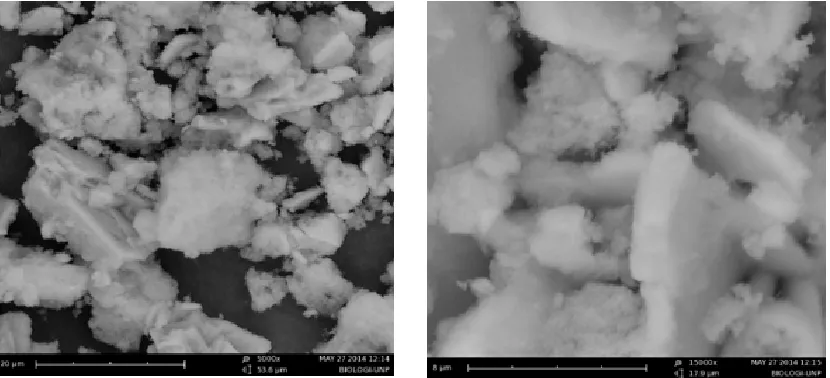 Fig. 3: SEM of hydroxyapatite at the mixing temperature 70°C (a)5000x, (b) 15000x.