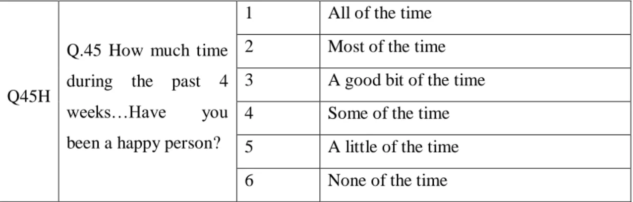 Table 3.1 Target variable question and answers details 