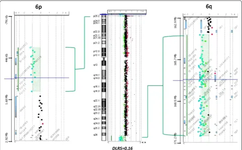 Figure 2 Array-CGH results of chromosome 6. Full view of the chromosome 6 rearrangements is displayed in the middle
