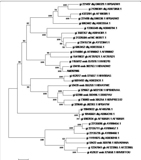 Figure 1 Phylogenetic tree map of HBV genome sequencing. 32 HBV genomes of eight different genotypes were sequenced by HBVgenome sequencing, and software MEGA4 was used to analyze these genomes to get the phylogenetic trees of genome sequencing