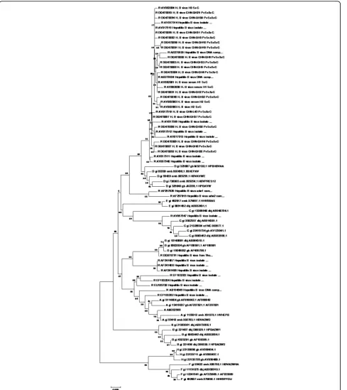 Figure 5 Phylogenetic tree map of HBV recombinant strains using S gene sequencingModel(Homogeneous);draw the phylogenetic tree map of HBV S gene sequencing by the method described above.Phylogeny Test and options