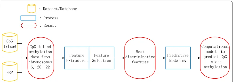 Figure 1 Workflow used for the prediction of the methylation status of CpG island in human genome