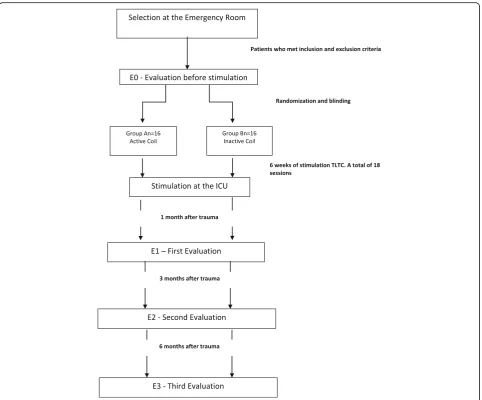 Fig. 2 Study protocol flow diagram. Thirty patients who meet the inclusion and exclusion criteria will be recruited from the EmergencyDepartment of University of São Paulo General Hospital