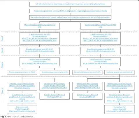 Fig. 1 Flow chart of study protocol