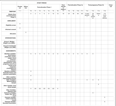 Fig. 2 Example of template of recommended content for the schedule of enrolment, interventions, and assessments