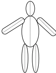 Fig. 1  Rough Generalized Cylinder Model of a Person 