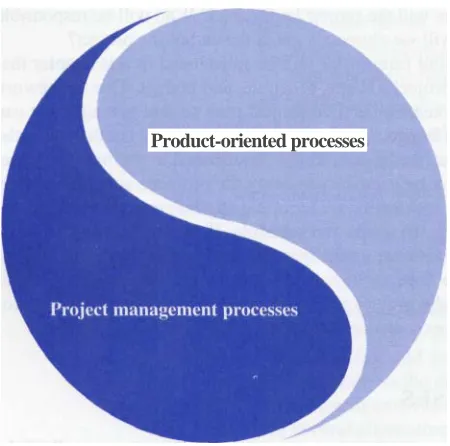 Figure 3.1 Project Processes 