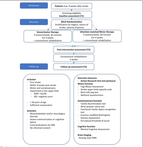 Fig. 1 Study flow diagram