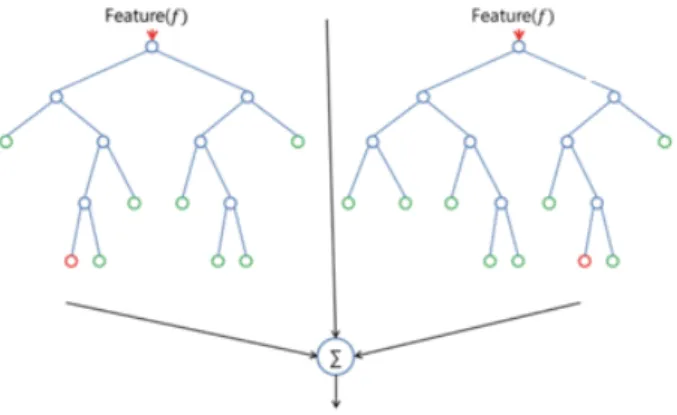 Figure 11: Decision Trees within a forest that are created in parallel and come together to average out a final accuracy measure