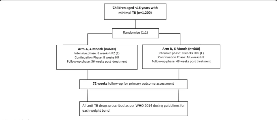 Fig. 1 Trial schema