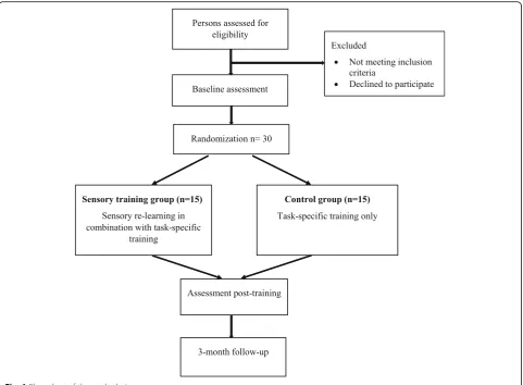 Fig. 1 Flow chart of the study design