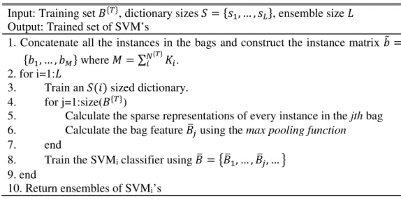 Table 3.1 : SCCE-MIL algorithm. 