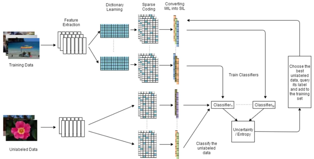 Figure 4.1 : Overview of the proposed DEMIAL algorithm. 