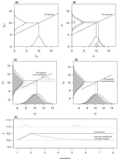 Figure 7: The consequences of assuming a constant intercept for the parent-o↵spring (PO) regression acrossgenerations