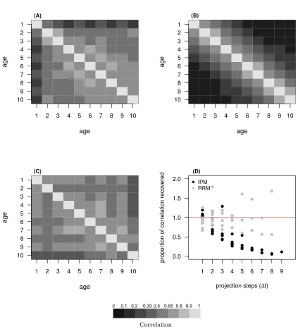 Figure 8: Observed phenotypic correlation matrix for size across ages for the bighorn sheep population of RamMountain (AAA), and analogous matrices implied by the IPM (BBB) and estimated by the RRM (CCC) approaches.Proportion of the correlations in size am