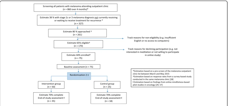 Fig. 1 Participant flow diagram and recruitment estimates