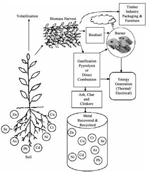Figure 3. Phytoextraction of metals from soil and their utilization [49]. 