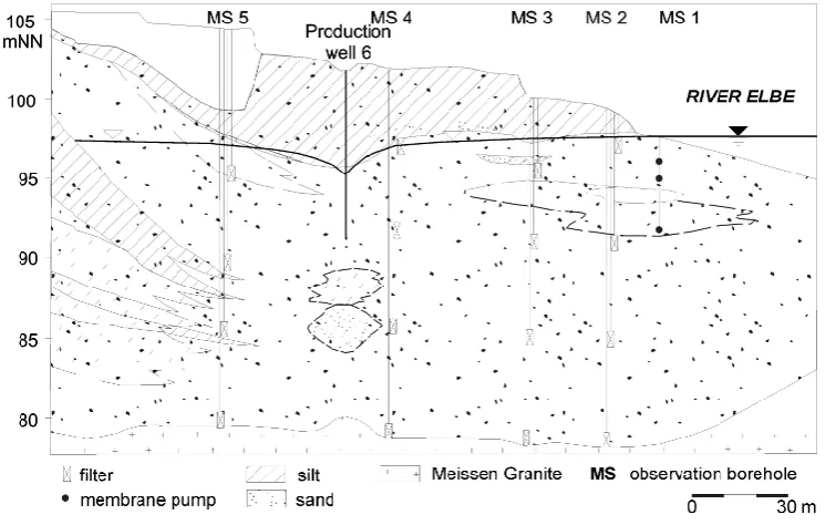 Fig. 6. Location of observation boreholes along the cross-section. 