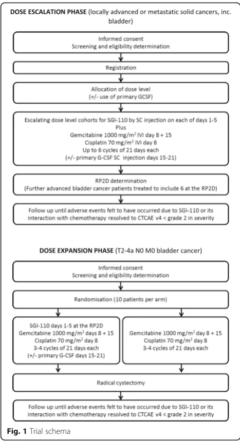 Fig. 1 Trial schema