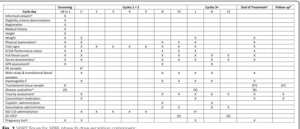 Fig. 2 SPIRIT figure for SPIRE phase Ib dose escalation component