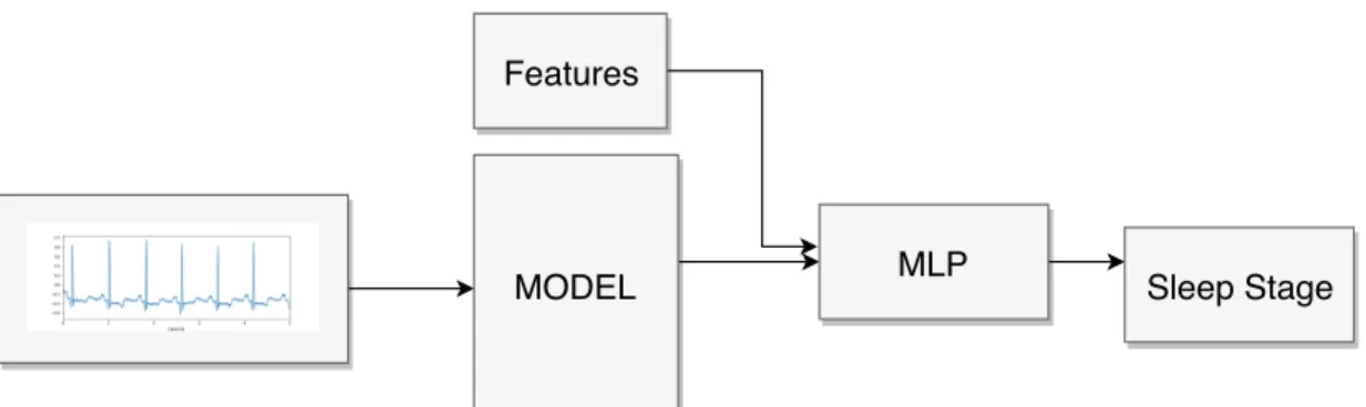 Figure 11: ECG structure models