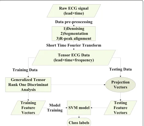 Figure 1 The tensor-based scheme for ECG feature extraction.