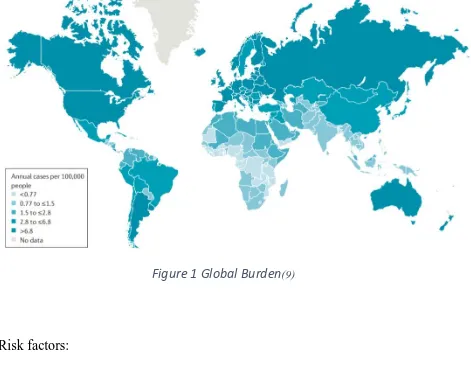 Figure 1 Global Burden(9) 