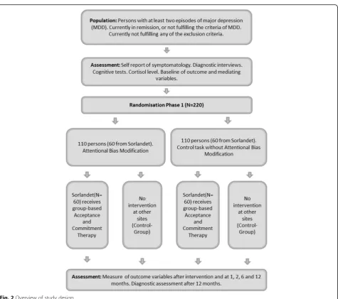 Fig. 2 Overview of study design