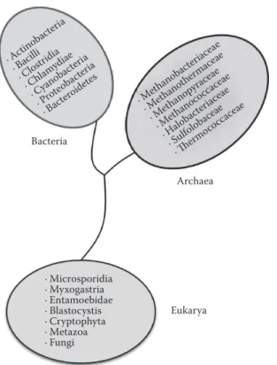 Figure 2.1  Phylogenetic tree for microorganisms representing three major divisions (phyla): Bacteria, Archaea, and  Eukarya