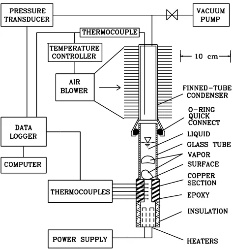 Figure 1: Schematic diagram of test system and test sectionused in pool boiling experiments.